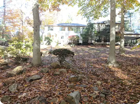 Yard covered with fallen leaves around trees and rocks, ready for cleanup by ScapeWorx.