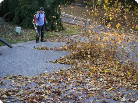 ScapeWorx team member using a leaf blower to clear leaves from a driveway.