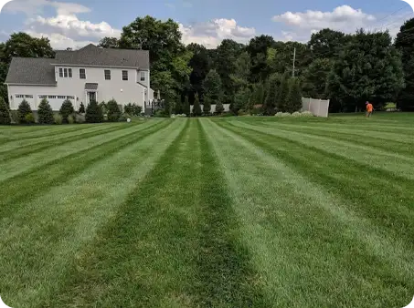 Wide mowed lawn with alternating stripes, showing ScapeWorx’s precision and attention to detail.