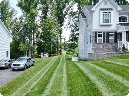 Neatly striped lawn with alternating patterns, showcasing ScapeWorx's professional mowing service.