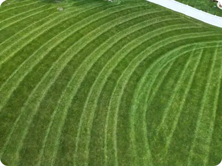 Aerial view of a lawn with curved mowing stripes, expertly done by ScapeWorx.