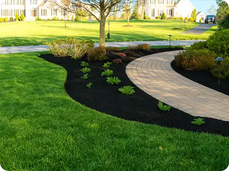 ScapeWorx mulch job with black mulch, bordered pathway, and neatly planted shrubs along a manicured lawn.