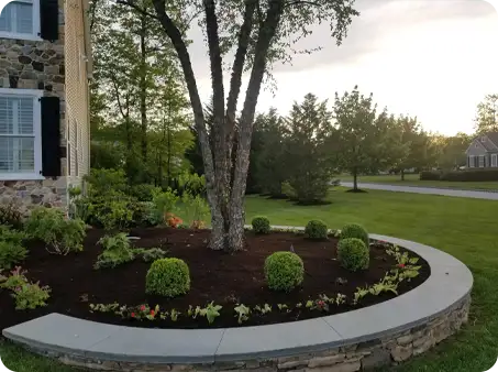 Mulch installation by ScapeWorx with fresh mulch, decorative stone edging, and vibrant plants around a central tree.