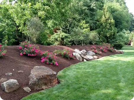 Mulch installation by ScapeWorx with fresh mulch, vibrant flowers, and natural stone accents on a sloping garden bed.