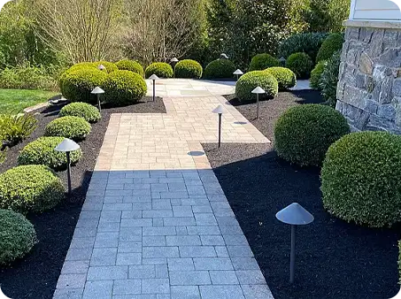Pruned boxwoods and shrubs lining clean stone walkway