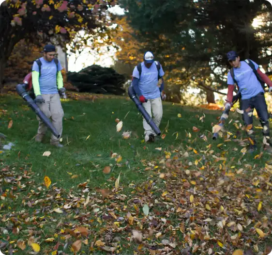 ScapeWorx spring clean up team clearing leaves from lawn
