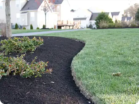 Fresh mulch and clean lawn edges after spring clean up