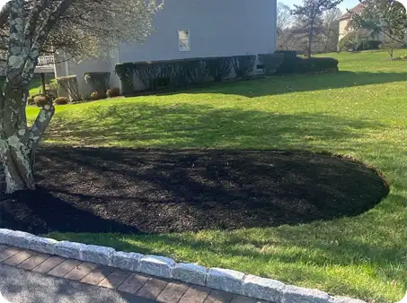 Fresh mulch bed after spring clean up service