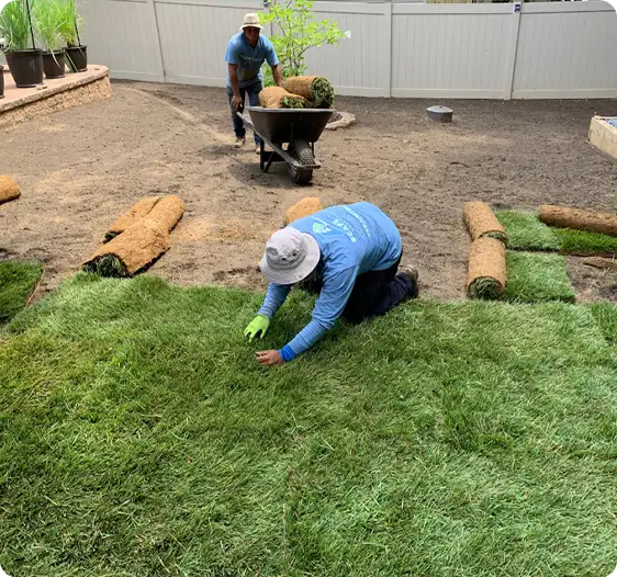 ScapeWorx team precisely installing sod rolls in a backyard to create a seamless, healthy new lawn.