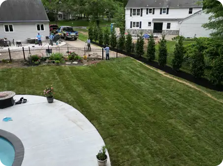 ScapeWorx freshly installed sod lawn bordered by privacy trees and fencing for a clean and inviting backyard look.