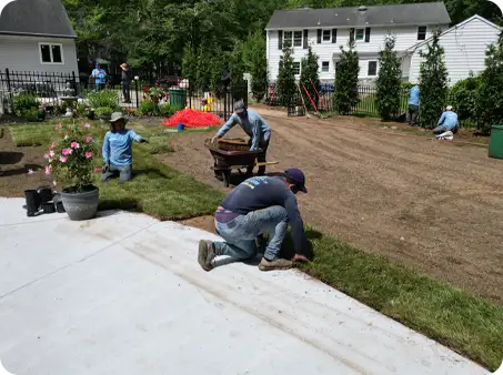 ScapeWorx team expertly laying sod in a prepared backyard for a seamless and healthy new lawn installation.