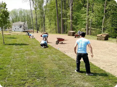 ScapeWorx team installing sod in a large residential backyard surrounded by trees.