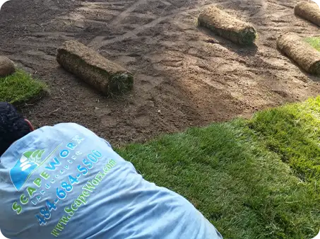 ScapeWorx crew member laying sod rolls for a smooth and healthy new lawn installation.