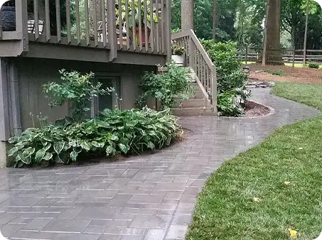Stone walkway leading to the basement with opulent greenery along the edges.