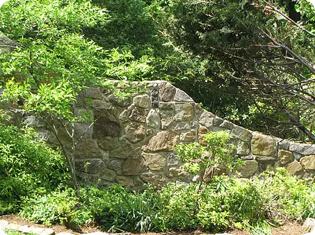 Curved stone garden wall surrounded by exuberant greenery