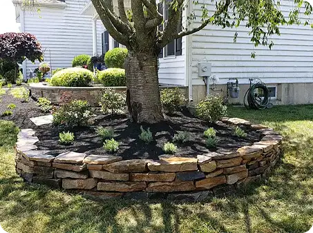 Stone wall surrounding a tree with new plantings and fresh mulch
