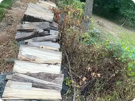 Overgrown weeds and dry vegetation next to stacked firewood, needing weed and bed maintenance
