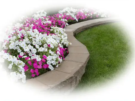Annuals-seasonal-color-12-in-glen-mills-garnet-valley-media-wallingford-water-feaures-pa-scapeworx