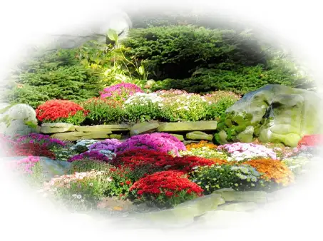 annuals-seasonal-color-14-in-glen-mills-garnet-valley-&-media-pa-scapeworx