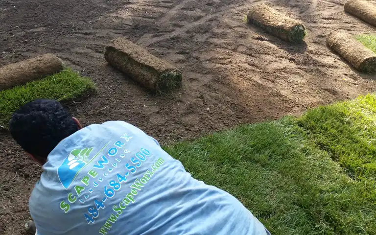 sod installation in glen mills, garnet valley, and media pa by scapeworx