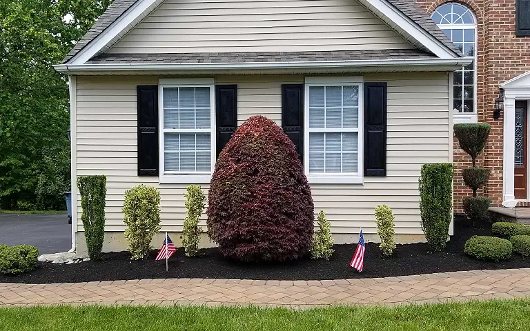 Newly mulched and weeded landscape beds by ScapeWorx.