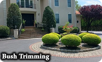 Professional bush trimming services in Glen Mills, Garnet Valley, and Media PA