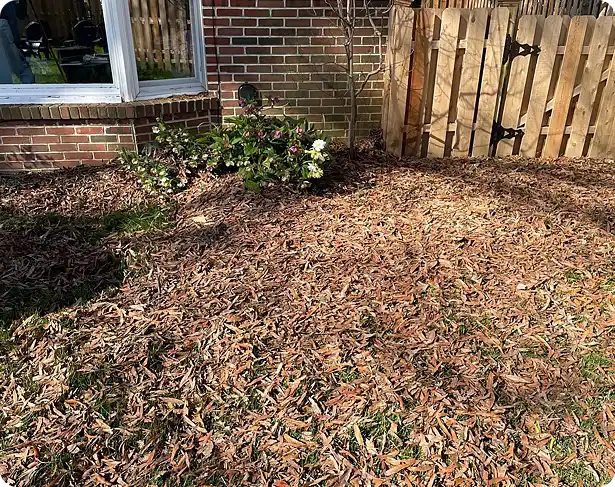 Fall clean up Aston: Leaves piled across a backyard near a fence