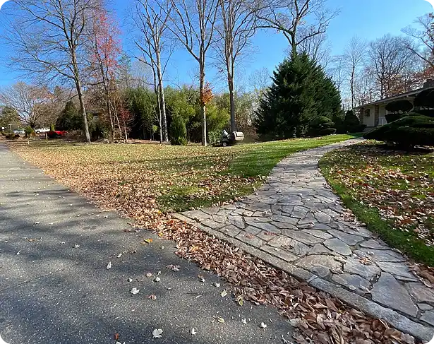 Fall clean up Kennett Square with leaves scattered along a stone walkway and lawn