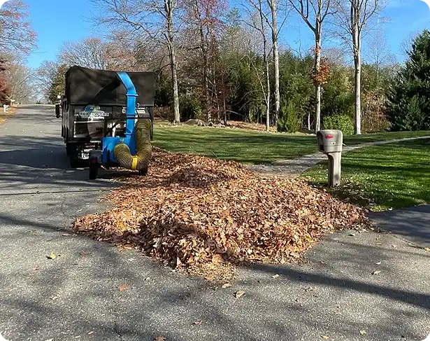 ScapeWorx truck collecting leaves during fall clean up in Newtown Square
