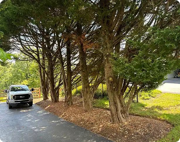 ScapeWorx truck parked along driveway during fall clean up West Chester