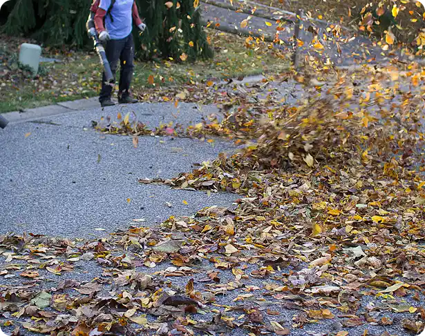 Greenville DE fall clean up with worker using a blower to move leaves across the street