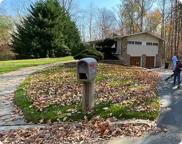 Thornbury fall clean up with leaves scattered across a front yard near a mailbox