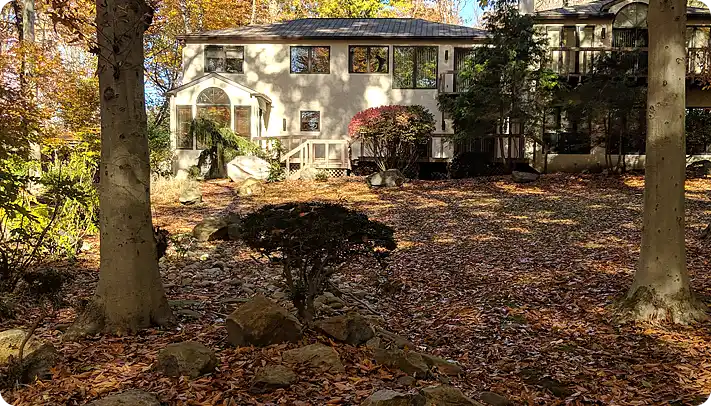 Fall clean up in Thornbury with leaves spread across a backyard surrounded by trees