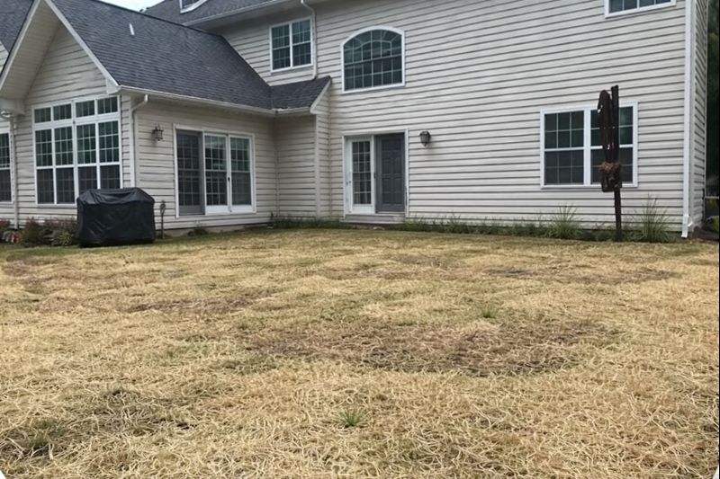 Lawn before ScapeWorx patio and fire pit installation