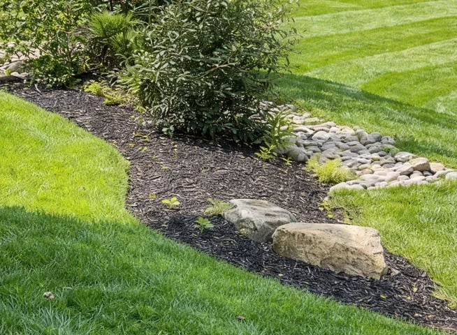 Why Early Weed Prevention Matters More Than Most Homeowners Realize – ScapeWorx Landscaping & Design weed growth in mulch bed