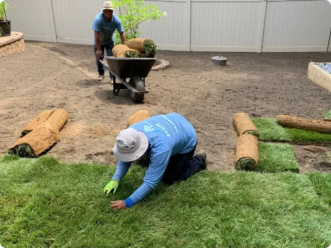 ScapeWorx crew installing sod rolls in a residential backyard in Delaware County